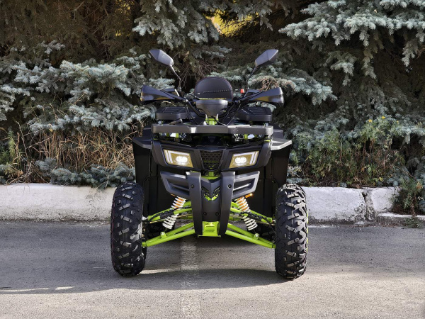 Квадроцикл R - MOTO (Р - Мото) Lion 200 X черный (машинокомплект) | Мототека